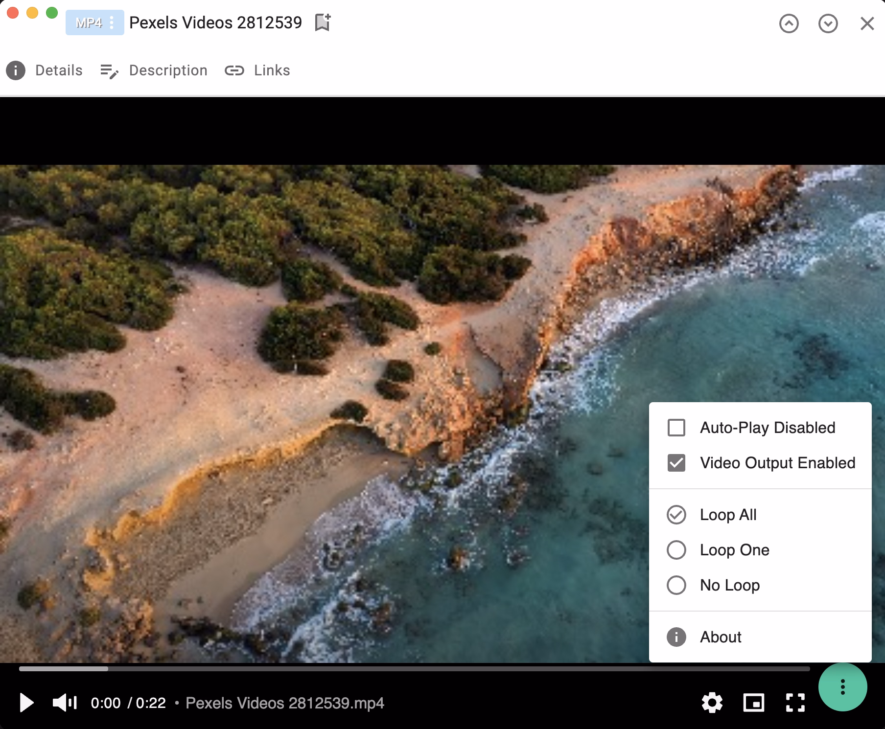 Screenshot of the media player