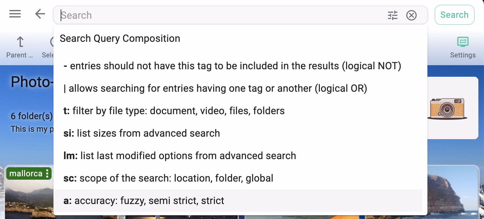 Query composition in the search box