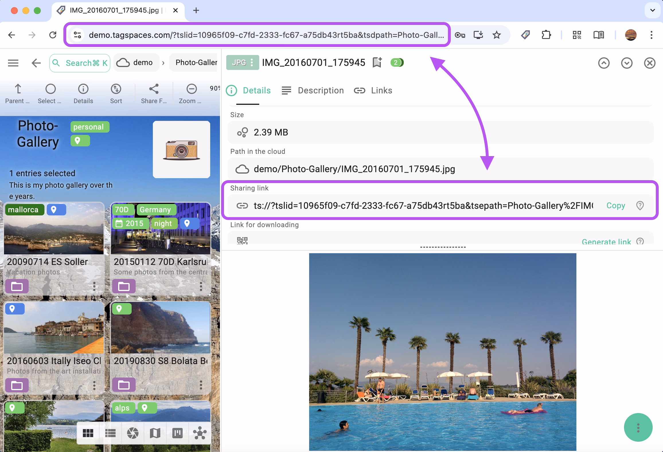Sharing link in the entry properties and browser address bar